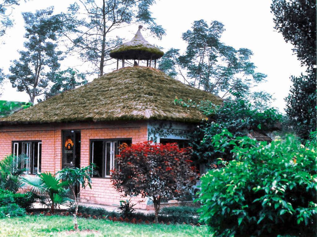 Rainbow Safari Resort Sauraha Exterior photo