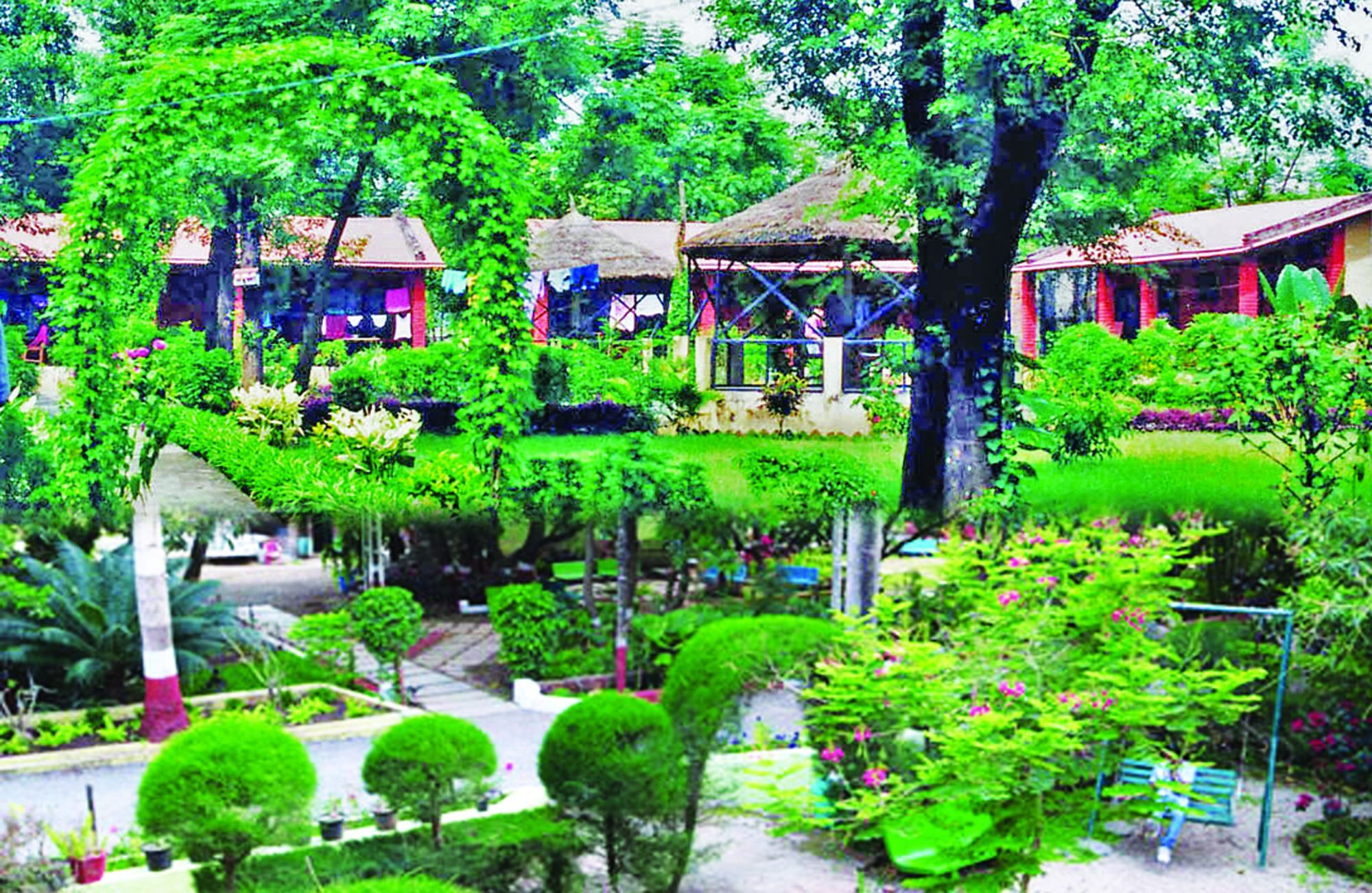 Rainbow Safari Resort Sauraha Exterior photo